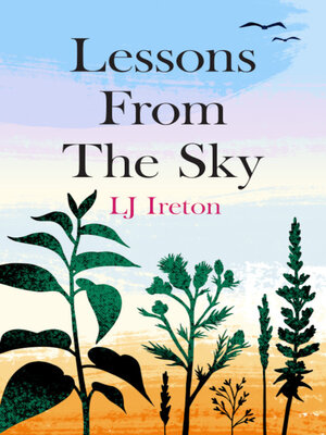 cover image of Lessons from the Sky